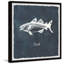 Cod - Single Picture Frame Print-862498617