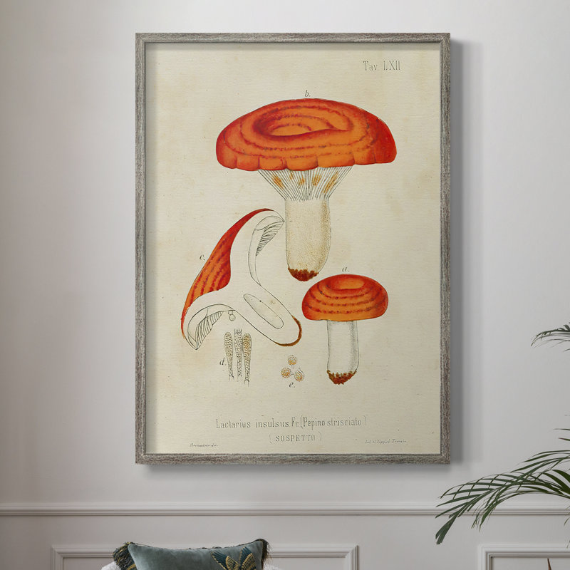 «Mushroom Variétés», reproduction encadrée en bois massif, H 30 po x l 24 po