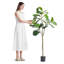 Arbre artificiel 61,26 po