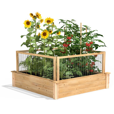 Jardin surélevé en cèdre 4 pi x 4 pi Jaxon
