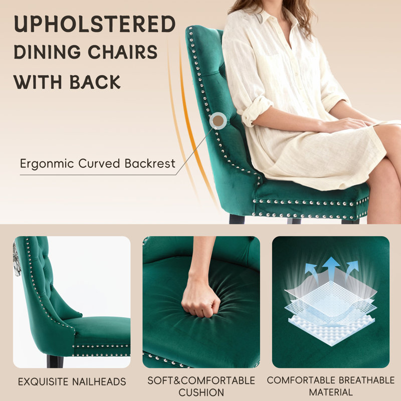 Ensemble de 6 chaises de salle à manger rembourrées Modern Velvet, Vert