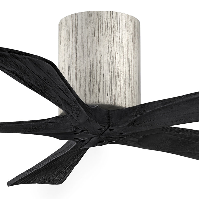 Ventilateur à pales encastré 5 pales Irene, 42", Ton bois de grange, Noir mat