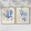 Algue bleue bleue - reproduction encadrée de qualité supérieure - prête à être accrochée - aucun clou requis - aucun clou requis-1282725719-1282725716