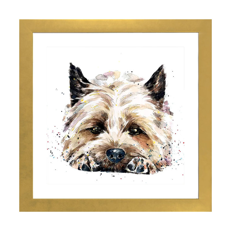 Impression Cairn terrier dans votre visage par Edwatercolours, Papier encadré doré, Blanc, H 16 po x l 16 po x p 1 po