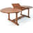 Odriscoll Folding Solid Wood Dining Table