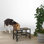 Station d'alimentation double pour animaux en acier inoxydable
