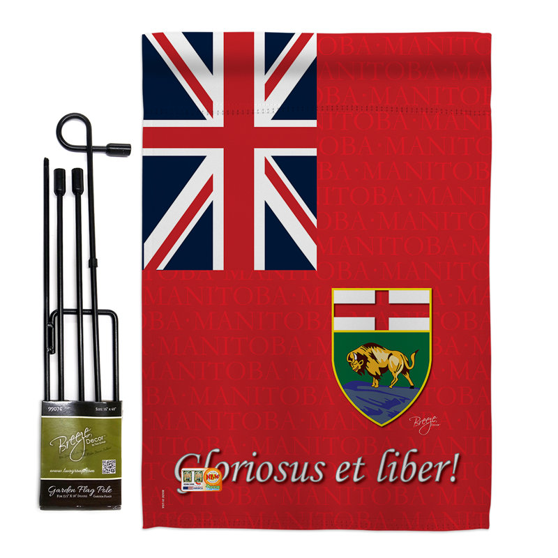 Double Sided 18.5'' H x 13'' W Polyester Flag Set