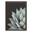"Agave plante, gros plan, botanique, illustrations, impressionnisme, décoration murale"-108570916