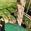 Customer photo 5 of 7