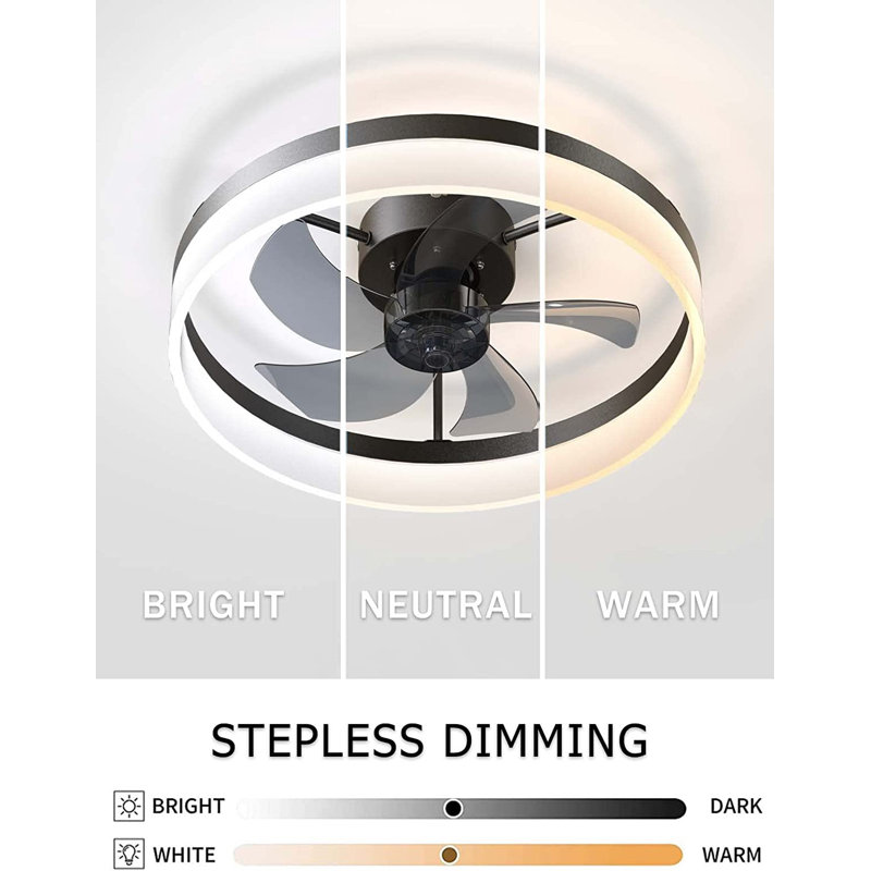 Deza 19.7'' Ceiling Fan with LED Lights