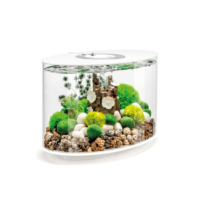 thumbnail image 2 of Wall-Hanging Fish Bowl Acrylic Wall-Mounted Plant Pot 1 11.5 2 of 11
