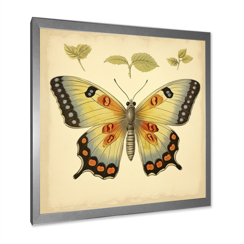 Illustration rétro d'un papillon élégant, Cadre simple argenté, H 16 po x l 16 po x P 1 po