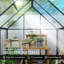 Greenhouse-122746328