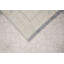 Castile Oriental Area Rug in Ivory/Silver/Platinum-3544074