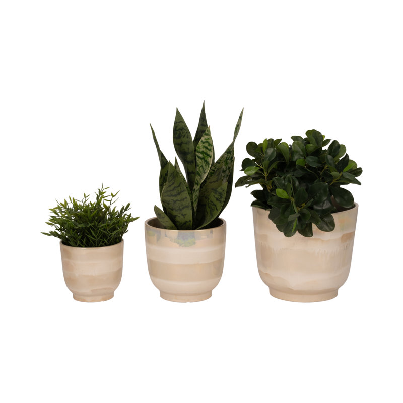 Andru Ceramic Trio Elegance Enhance Your Space With Style, Ivory