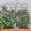 Barrière de jardin en treillis de jardin en métal 86,7 "x 19,7" treillis antirouille pour plantes grimpantes