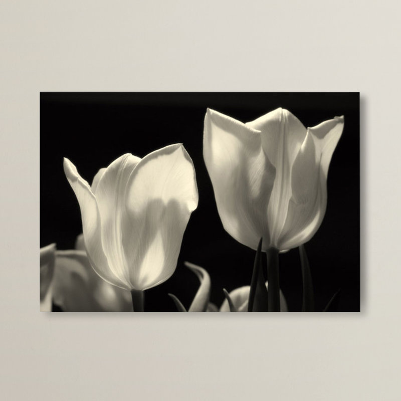 « tulipes », reproduction de photo sur toile tendue, H 22 po x l 32 po x P 2 po