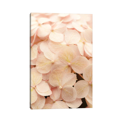 Lauds Morning Prayer I by Olivia Joy StClaire - Wrapped Canvas Print
