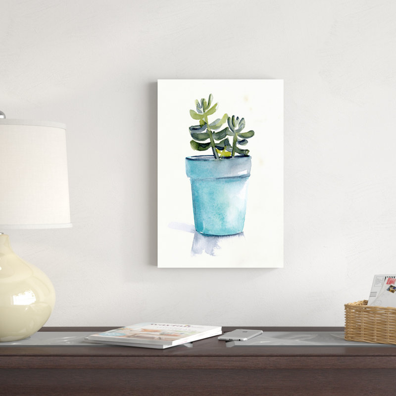 Plante grasse en pot II, H 18 po x l 12 po