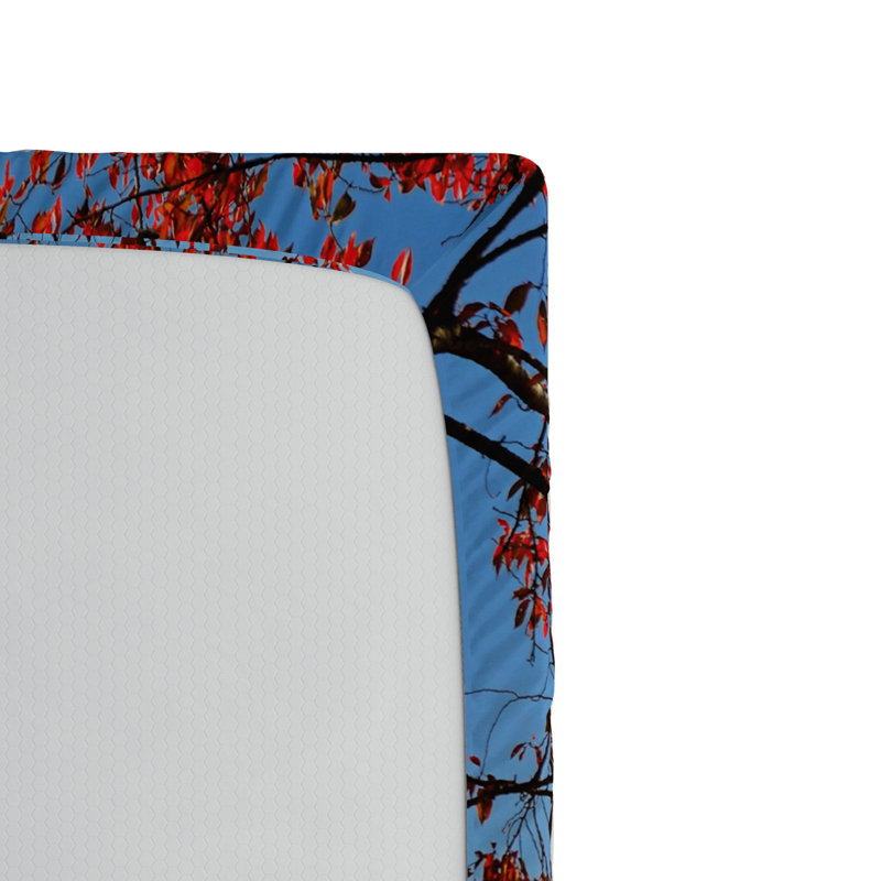 Microfiber Fitted Sheet, Twin XL Fitted Sheet
