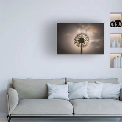 Art sur toile, "irlandais pudique"