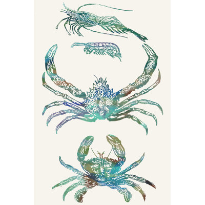 Aquatic Assemblage VIII by Sharon Chandler - Painting on Canvas