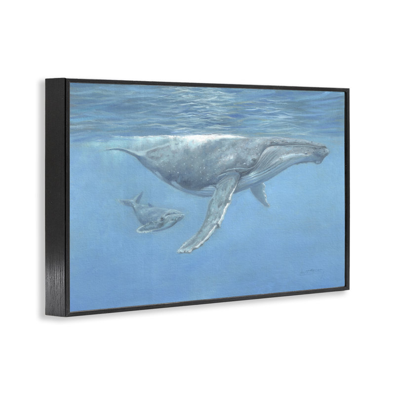 Humpback Whale Underwater Framed Giclee, design by David Stribbling, 12" H x 18" W, Midnight Black Framed Giclee
