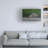 Bolog Ray Cooper  Splash Canvas Art-109346690