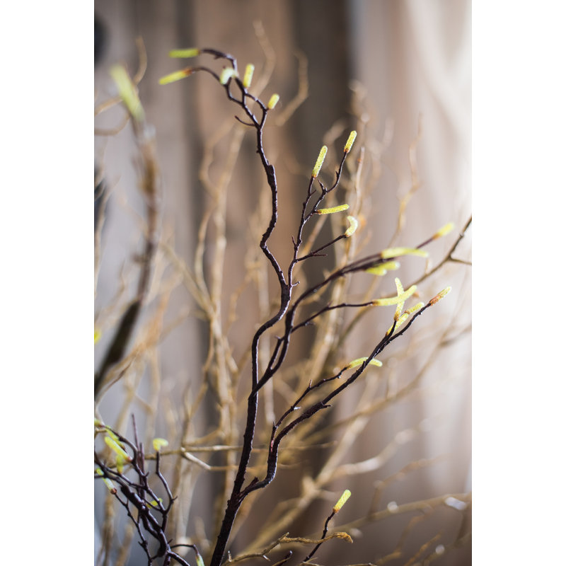 Branch, 41.7" H x 6" W x 6" D