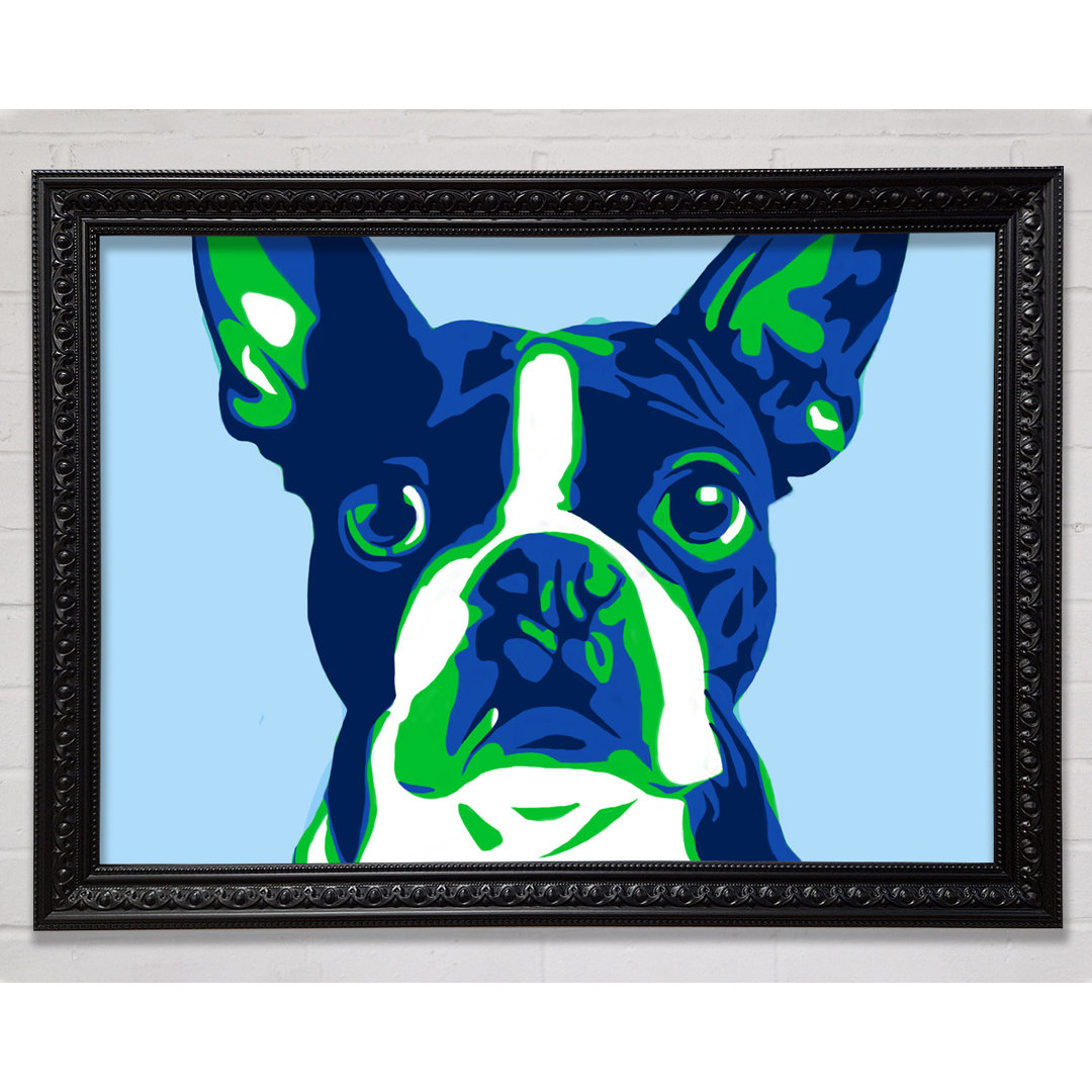 Die Französische Bulldogge Pop Art - Einzelne Bilderrahmen Kunstdrucke