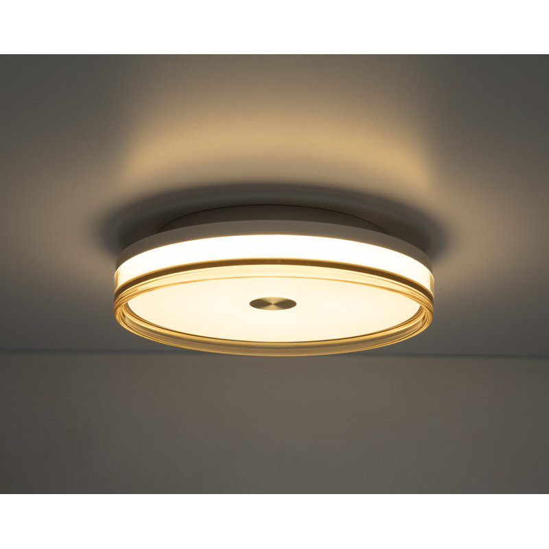 Fricis Acrylic, Plastic LED Flush Mount