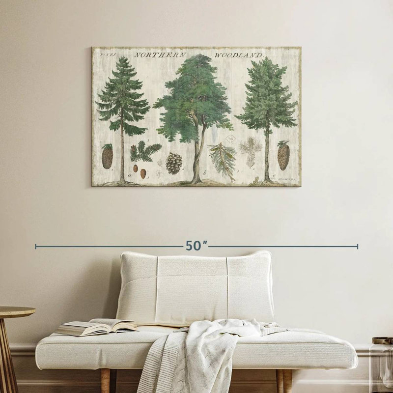 Carte Harnek Woodland I, H 26 po x l 39 po