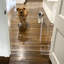 Clear Freestanding Pet Gate with Door 36"w x 30"h-749663428