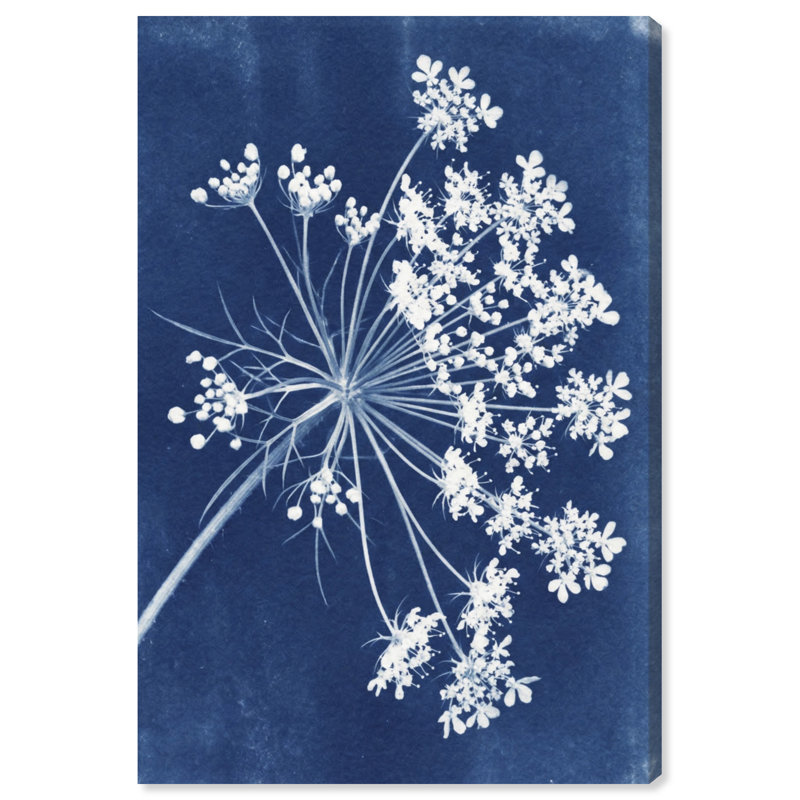 Queen Lace Print by Oliver Gal, 10"H x 15"W, Gallery Wrapped