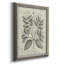 Antique Botanical VII - Reproduction d'art sur toile encadrée-2118097222