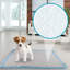 Coussin d'entraînement pour chien et chiot Scratchme