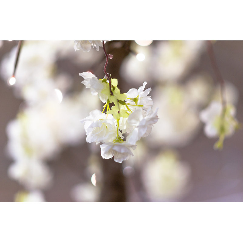 Cerisier en fleurs avec lumières DEL, H 70,86 po x l 35,4 po x P 35,4 po, Blanc chaud
