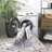 Shafiya Performance Machine Washable Abstract Rug-1706980568