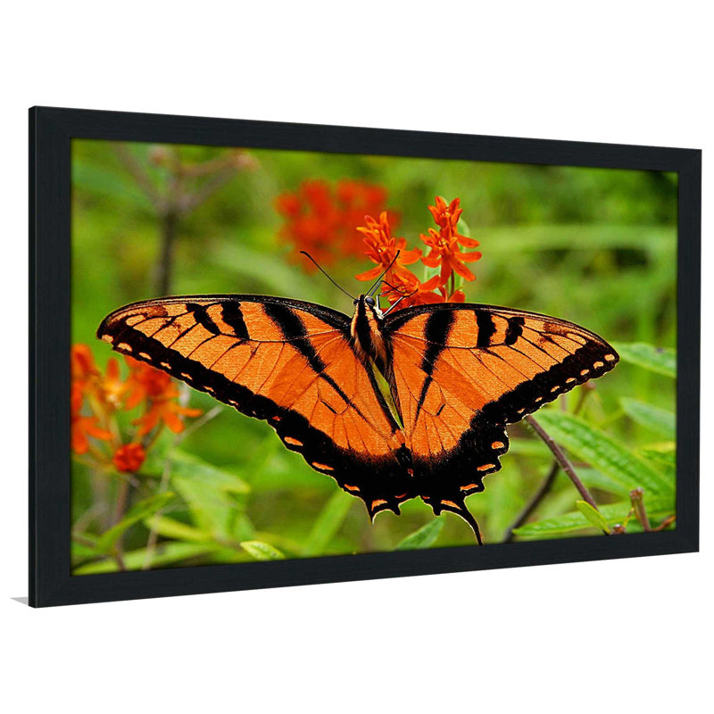 «Metallic Butterfly», reproduction de photo, H 21,5 po x l 27,5 po x P 0,75 po, Cadre espresso