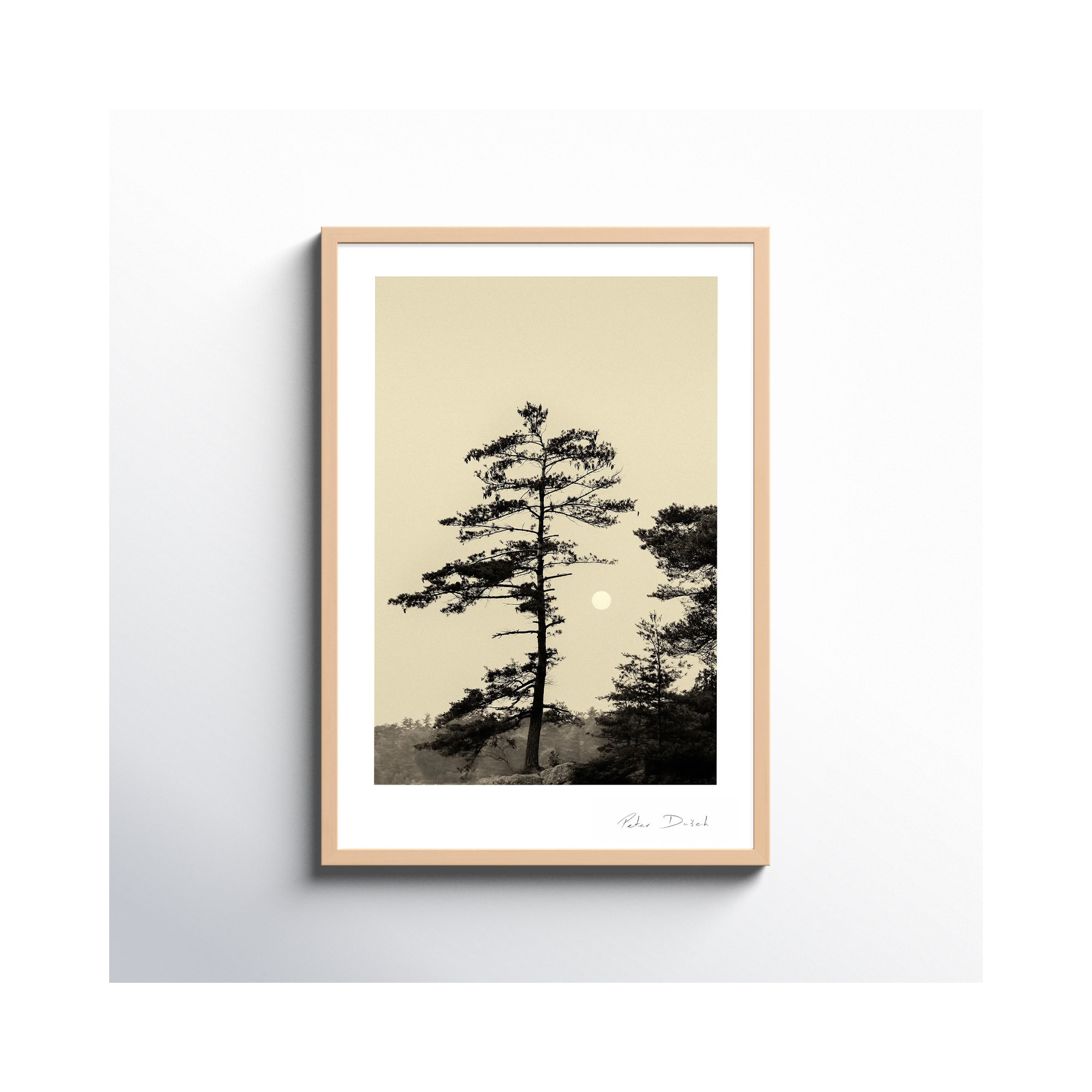 Serenity by Peter Dušek, 38" H x 26.5" W x 1.25" D, Brown