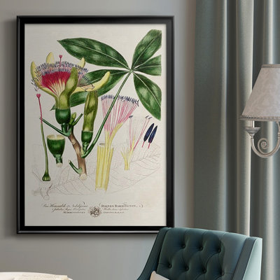 Imperial Tropical Botanical II, reproduction d'art encadrée