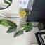 Customer photo 2 of 3