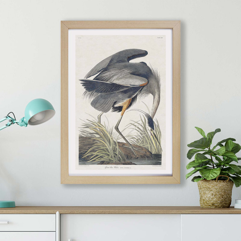 Great Blue Heron by John Audubon - Single Picture Frame Painting, 24cm H x 33cm W x 2cm D, Oak