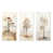 Toile tendue