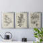 «Antique Black and White Botanical IV», ensemble de 3 peintures sur toile encadrées-508101473-508101478