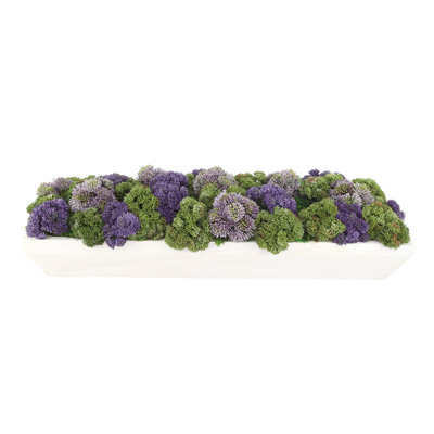 Sedum Arrangement in a Rectangular Wood Planter