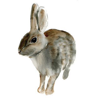 " Rabbits 6 " Painting Print