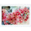 «Cherry Flowers III», reproduction de photo sur toile-29276227-74559954-74583062