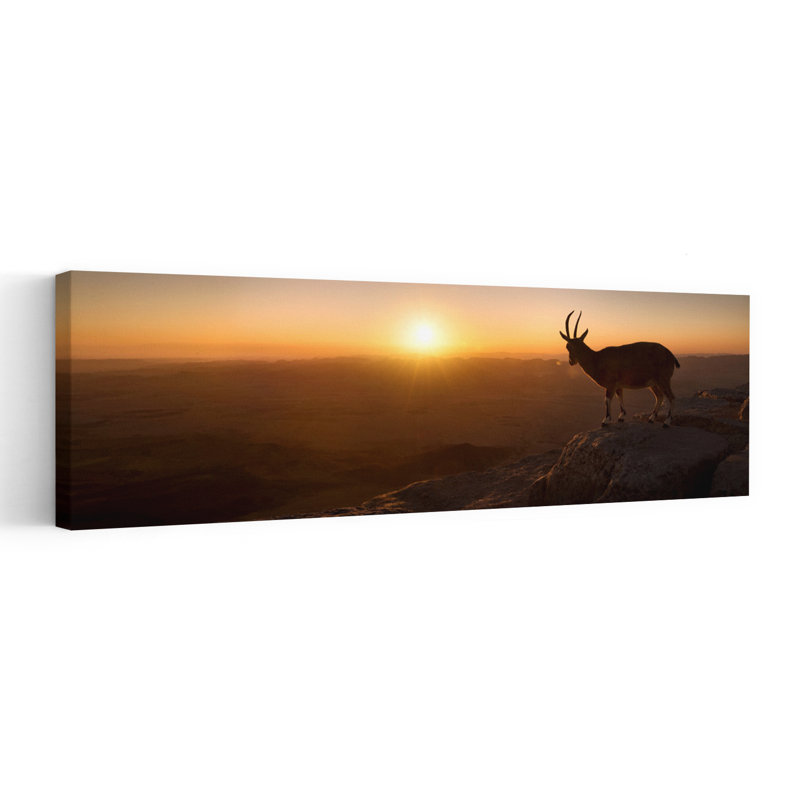 Art mural majestueux, bouquetin, coucher de soleil, paysage dramatique serein, H 20 po x l 60 po