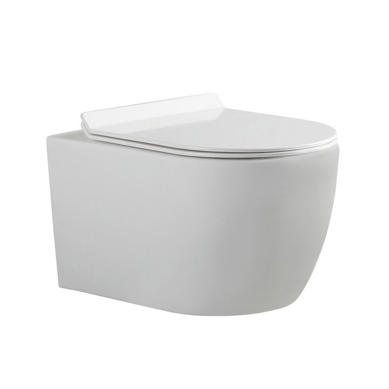 Toilette murale à double chasse Dakota (siège inclus), Blanc ultrabrillant